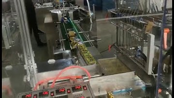 Automatic Cartoning Machine Overwrapping Machine Packing Line