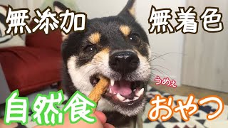 【豆柴】犬用無添加･無着色･自然食おやつ食べてみた！(柴犬) Shiba Inu dogs eating healthy treats