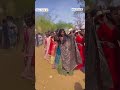 Ak 47 Timli Dance Gujarati New Timli Dance Video 2024 Timli Timlidance Gujratirimixtimli Ak 47 Timli Dance Gujarati New Timli Dance Video 2024 Timli Timlidance Gujratirimixtimli