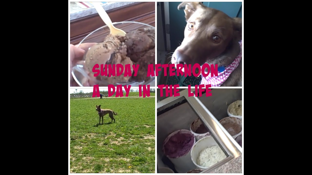 Sunday Afternoon Ice Cream & Dog Park | April 2015 | A day in the life - YouTube