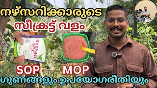 SOP & MOP വളങ്ങൾ ഉപയോഗിച്ചാലുള്ള ഗുണങ്ങളും, ഉപയോഗരീതിയും | water soluble fertilizer use malayalam