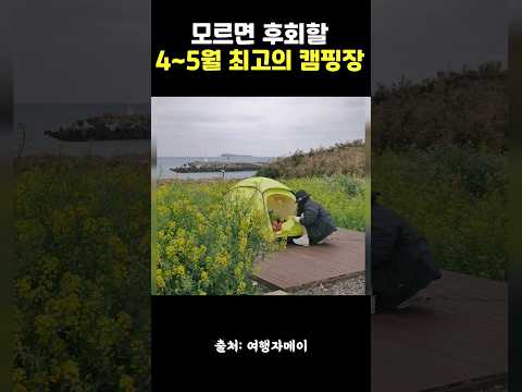 올봄에 꼭 가야하는 캠핑장 top1