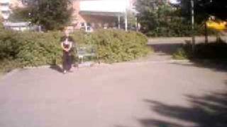 Denna Lilla Kundvagnen