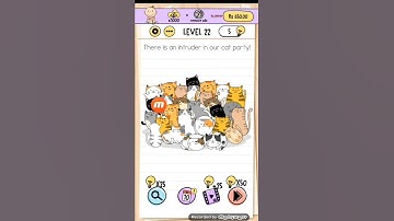 level 22(brain test)