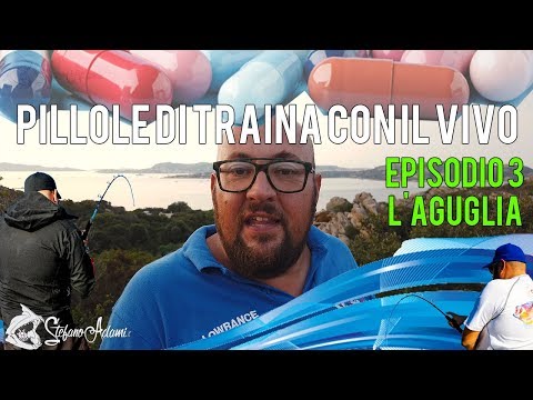 L'aguglia come e dove pescarla – Traina con il vivo in pillole – di Stefano Adami Ep 3