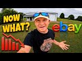 Steep Decline In Ebay Sales Mp3 Song