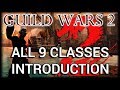 An Overview of Classes & Elite Specialisations for GW2