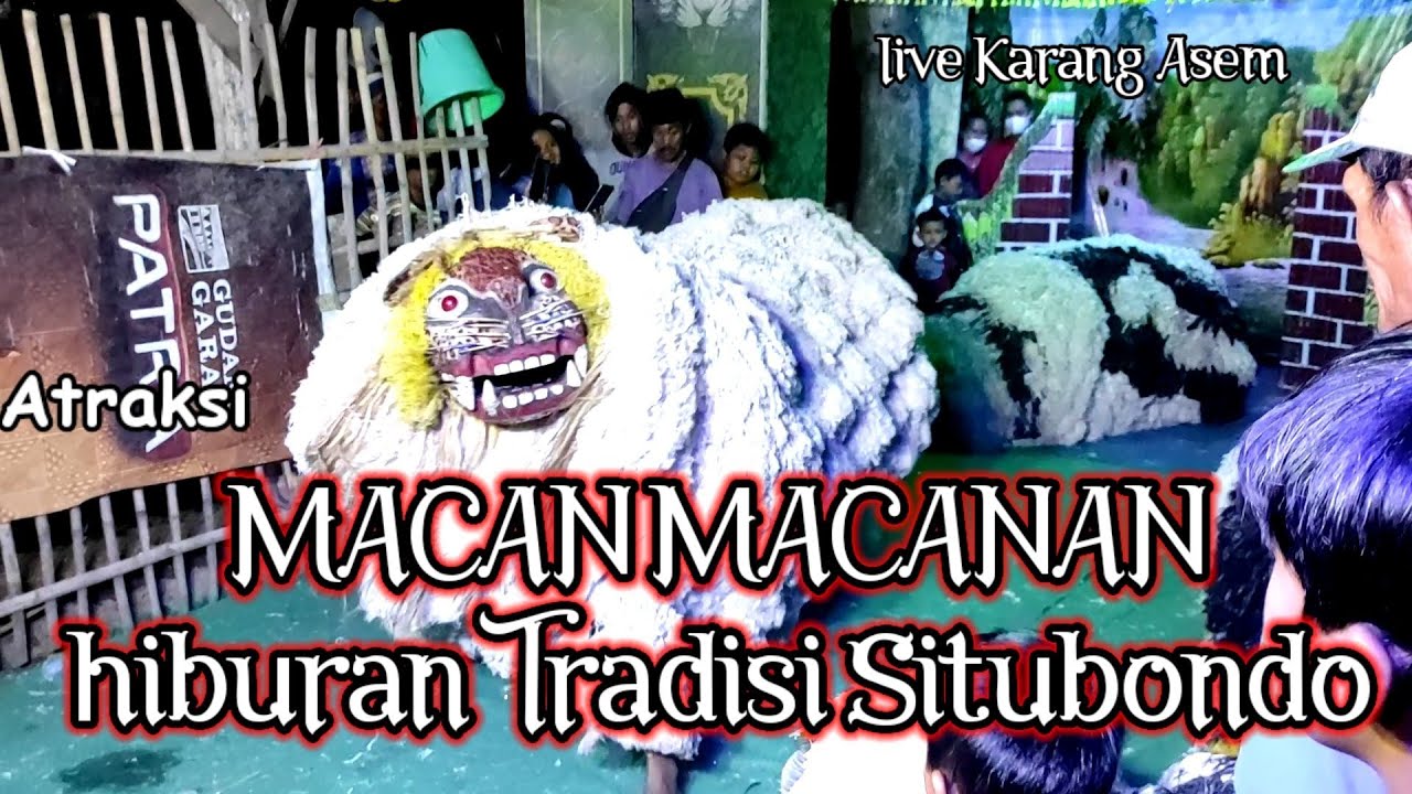 Atraksi MACAN MACANAN Hiburan Tradisi Situbondo live Karang Asem