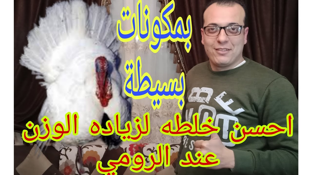 الخلطه الجبارة لزياده الوزن عند الرومى الابيض والاسود بمكونات بسيطة هترفع وزنه