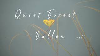 Fallen Leaves  |  Gallery vol 1