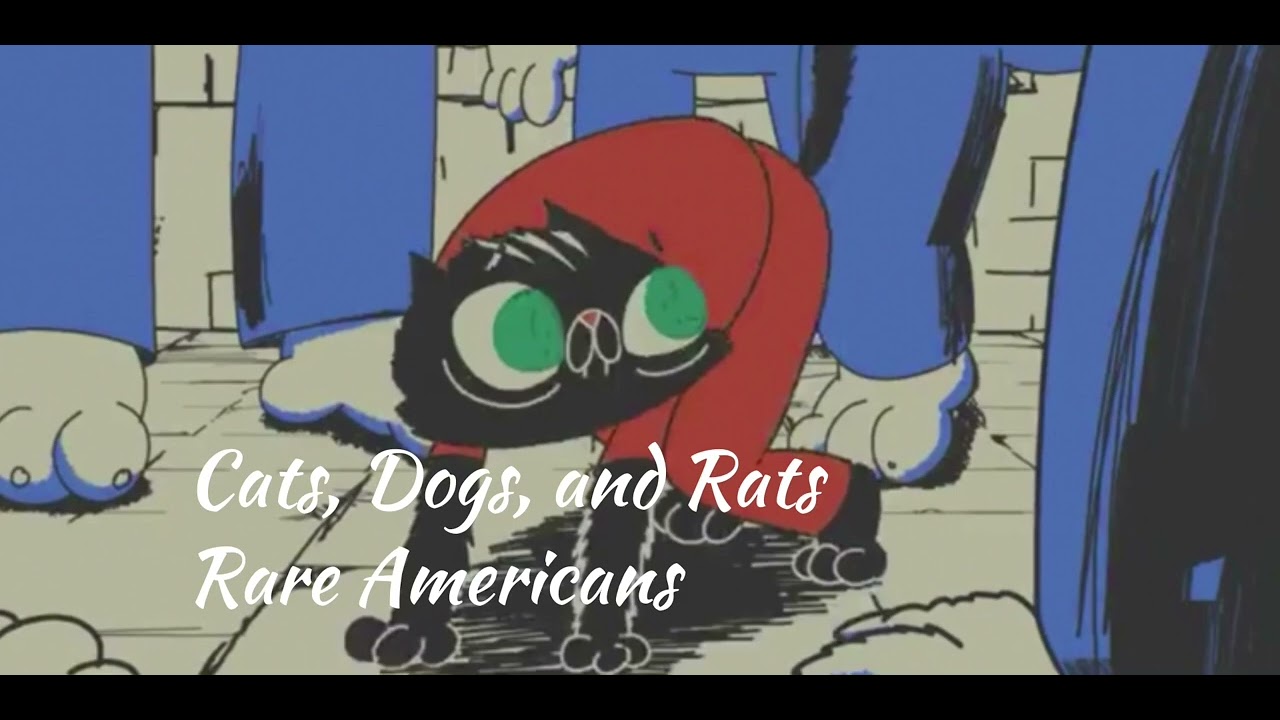 Cats Dogs Rats Rare Americans Clean Version YouTube Cats Dogs Rats Rare Americans Clean Version YouTube