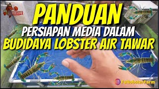 PANDUAN MEMULAI BUDIDAYA LOBSTER AIR TAWAR UNTUK PEMULA 🦞