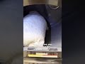 PRODUCT LINK IN RELATED VIDEO ! Stop Neck Pain? Try This Cooling Pillow 😲