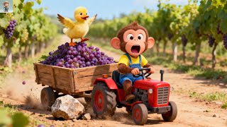 SO TOUGH | Monkey Farmer Saves Little Duck 🚜❤️ Farm Work