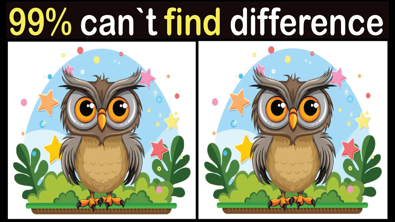 Spot The Difference : Can You Find Them All puzzle step by step ...