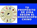 ✨🤩Tu propósito de vida según el horóscopo chino