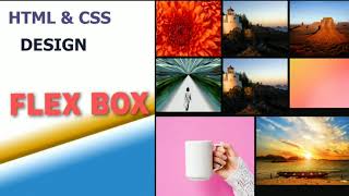 UI Design(4)  Responsive Image Gallery Using Flexbox HTML & CSS Code.