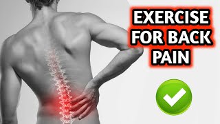 تمارين علاج آلام اسفل الظهر والتخلص من آلام بسرعة - exercise for lower back pain