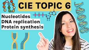 Nucleotides, DNA replication and Protein Synthesis - Entire topic CIE A-level Biology (Topic 6)