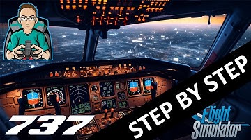 PMDG 737 COLD and DARK for beginners
