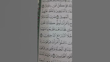 سورة التحريم من آية 8_10