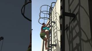The SECRET Forbidden LADDERS in GTA 5!