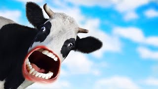 Cow Scream Effect