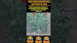 Gargat Ağacına Sığınma Tatbikatı Yapıyorlar Şfet