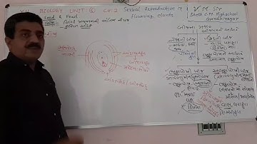 12 ch 2 video 8 V.M.sir