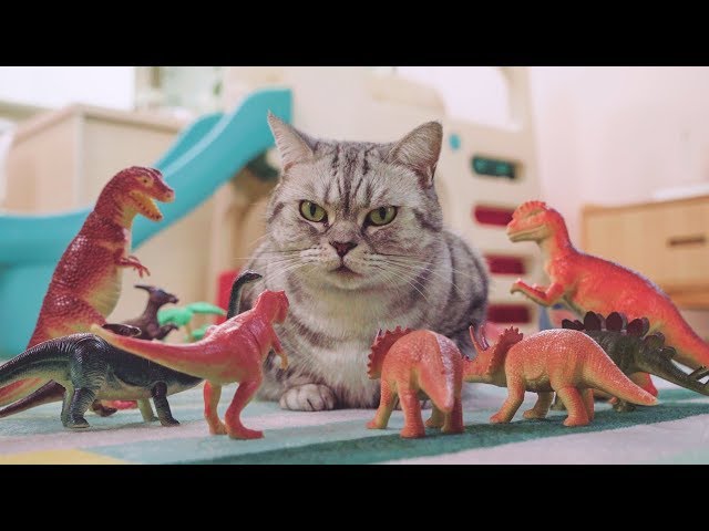 공룡들이 고양이를 포위했을 때 반응은?