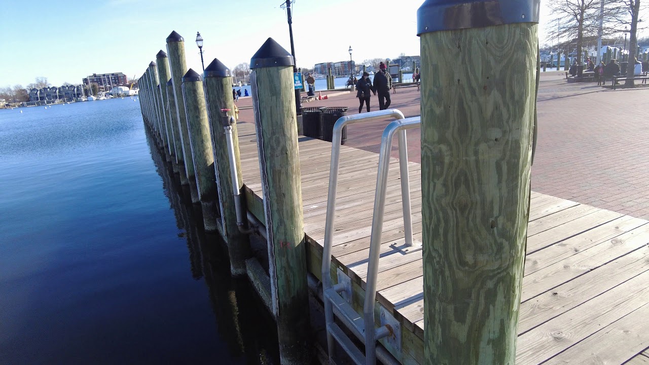 Annapolis Harbor Part 1