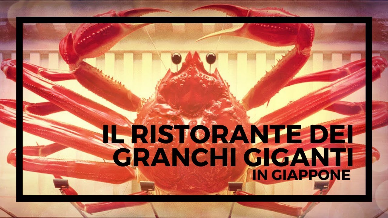 Il ristorante dei granchi giganti in Giappone YouTube