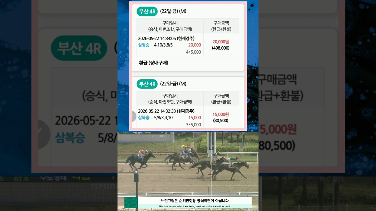 [경마] 줄 세우기 어려운 경주 !