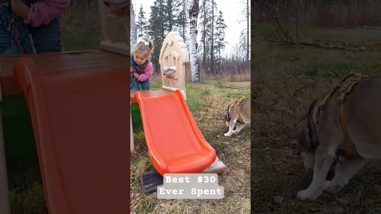 We found this toddler slide on Marketplace. Best $30 ever spent. 