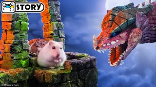 ⚔ Hamster vs Dragon in the Dungeons & Dragons Maze ⚔ Homura Ham Pets