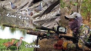 Download Lagu BERBURU BURUNG RAWA,, RUAK-RUAK SINTAR,, LANJUT MANCING LURR MP3