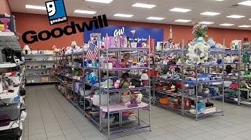 I Spent $100 Thrifting at Goodwill to Sell on Amazon FBA and Ebay!