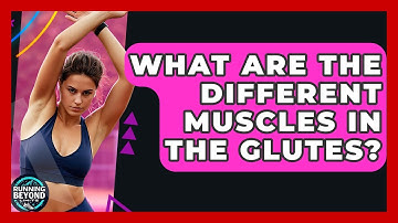 What Are The Different Muscles In The Glutes? - Running Beyond Limits