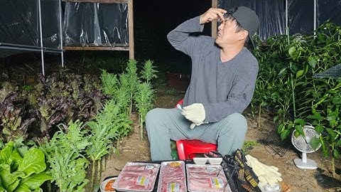 실시간 ) 장마철 시골먹방