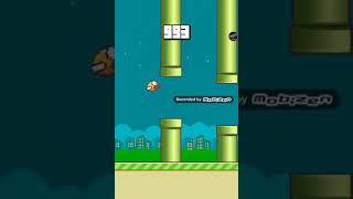 PROOF That there is no mario at 1000 in flappy bird. Wealth