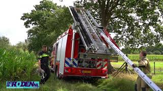 Vrouw Zakt Weg In Moeras - Roeghoornweg Norg