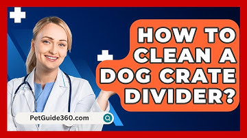 How To Clean A Dog Crate Divider? - PetGuide360.com