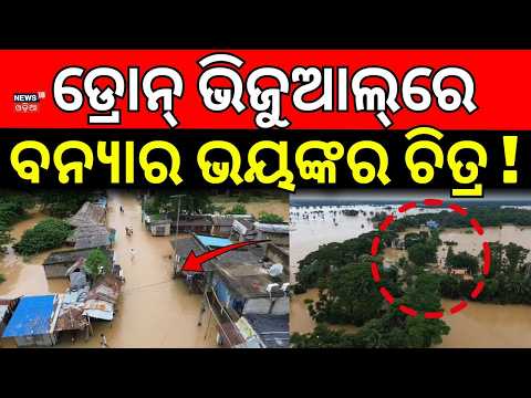 ବନ୍ଯାର ଭୟଙ୍କର ଦୃଶ୍ଯ !Kendrapara Flood | Terrifying Drone Visuals | Brahmani River Flood | Flood News