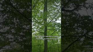 Arborist Vs. Forester Topics Part 2