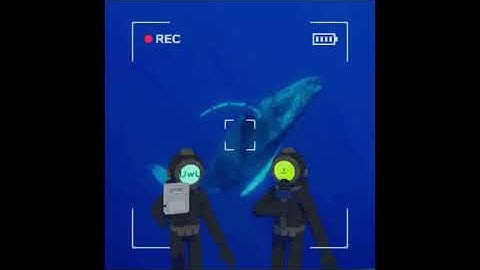 Content Warning Funny Moments - How To Get The Most Views