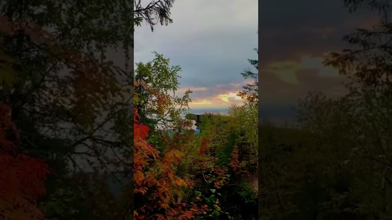 Autumn colors🍂🍁