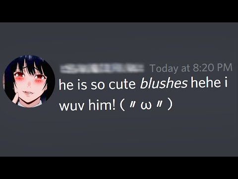 7 Best Anime Discord Bots To Have On Your Server  Animeclapcom