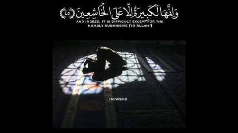 تلاوة خاشعة لراحة البال بصوت القاريء عبد الرحمان مسعد 💐 | حالات واتس اب قرآن 🍂