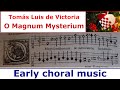 Miniature de la vidéo de la chanson O Magnum Mysterium