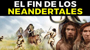 ¿Por qué sobrevivieron los humanos y no los neandertales?